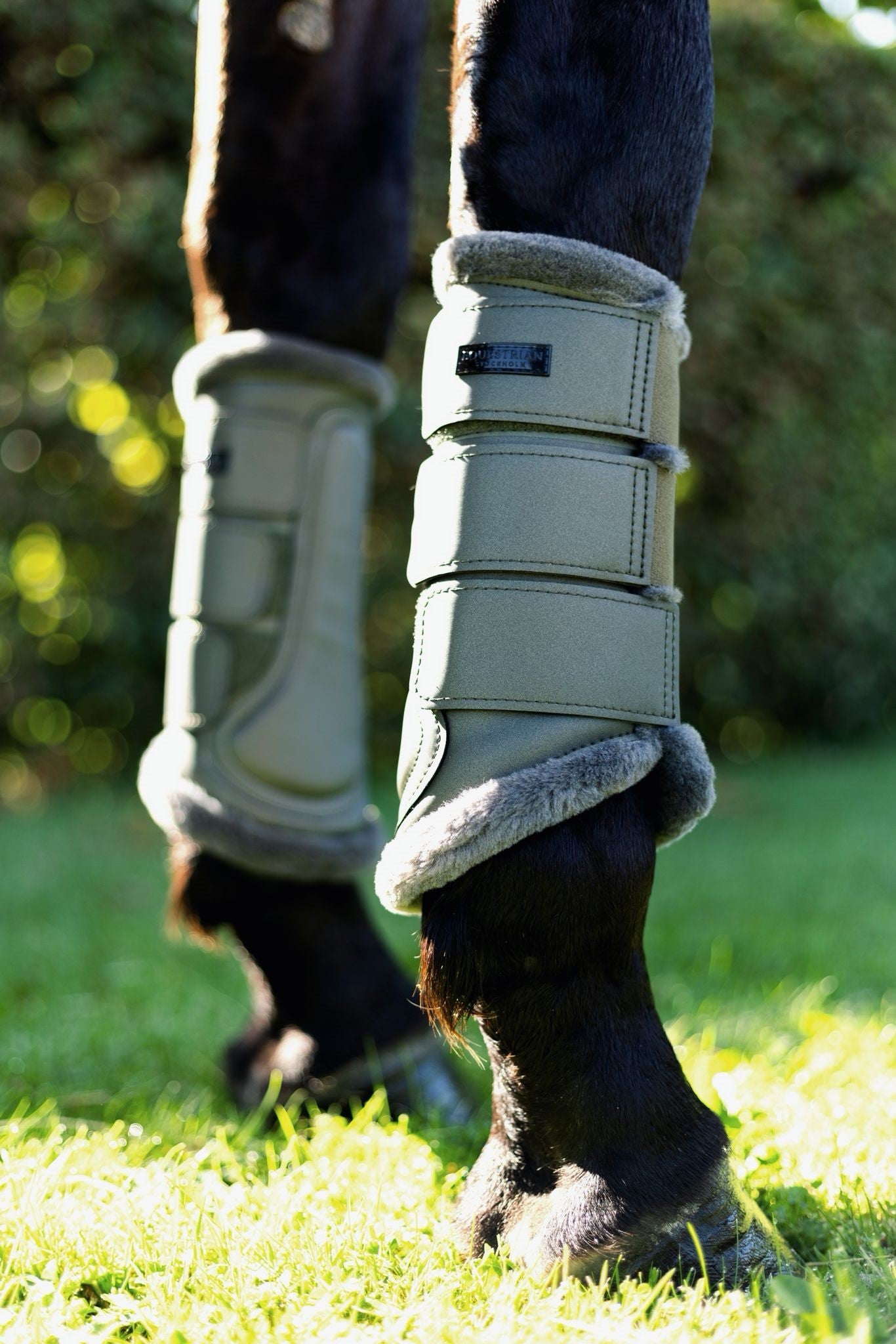 Brushing Boots Striking Valley