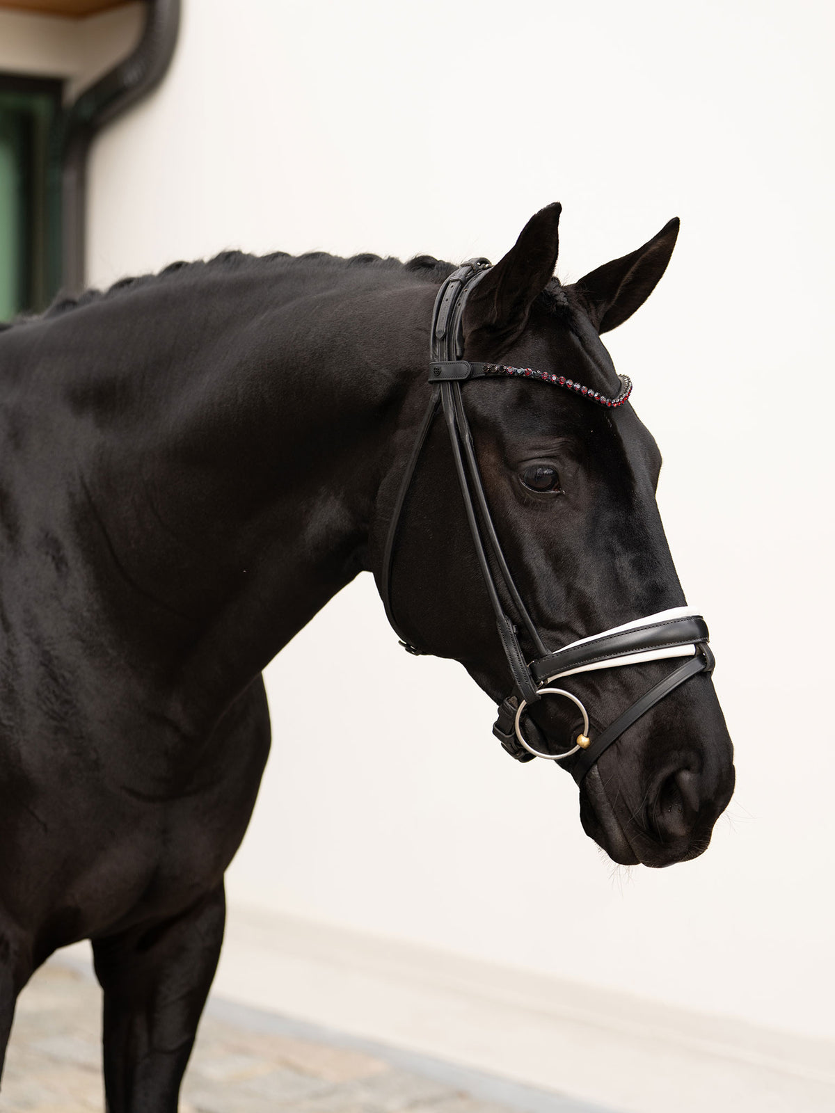 Browband Faded Merlot 8 mm