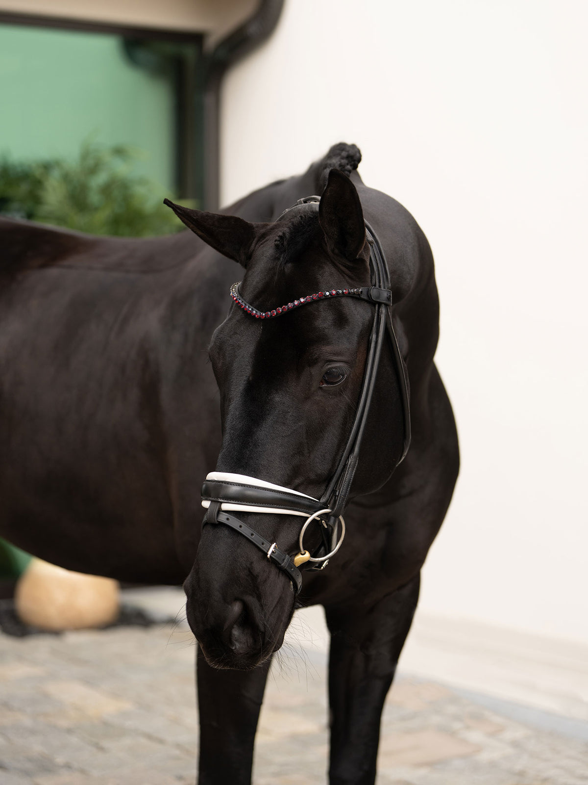 Browband Faded Merlot 8 mm