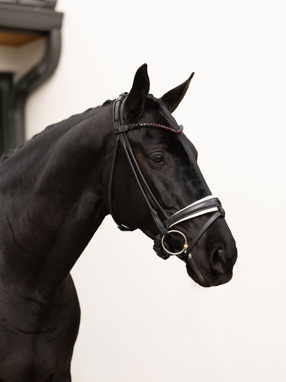 Browband Faded Merlot 8 mm
