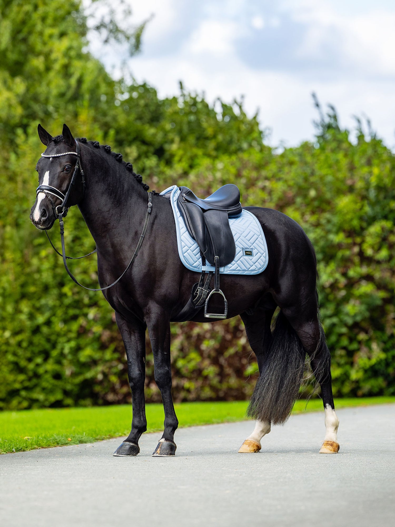 Equestrian Stockholm dressurunderlag Modern Midsummer Blue på en sort hest med sort sadel og trense.