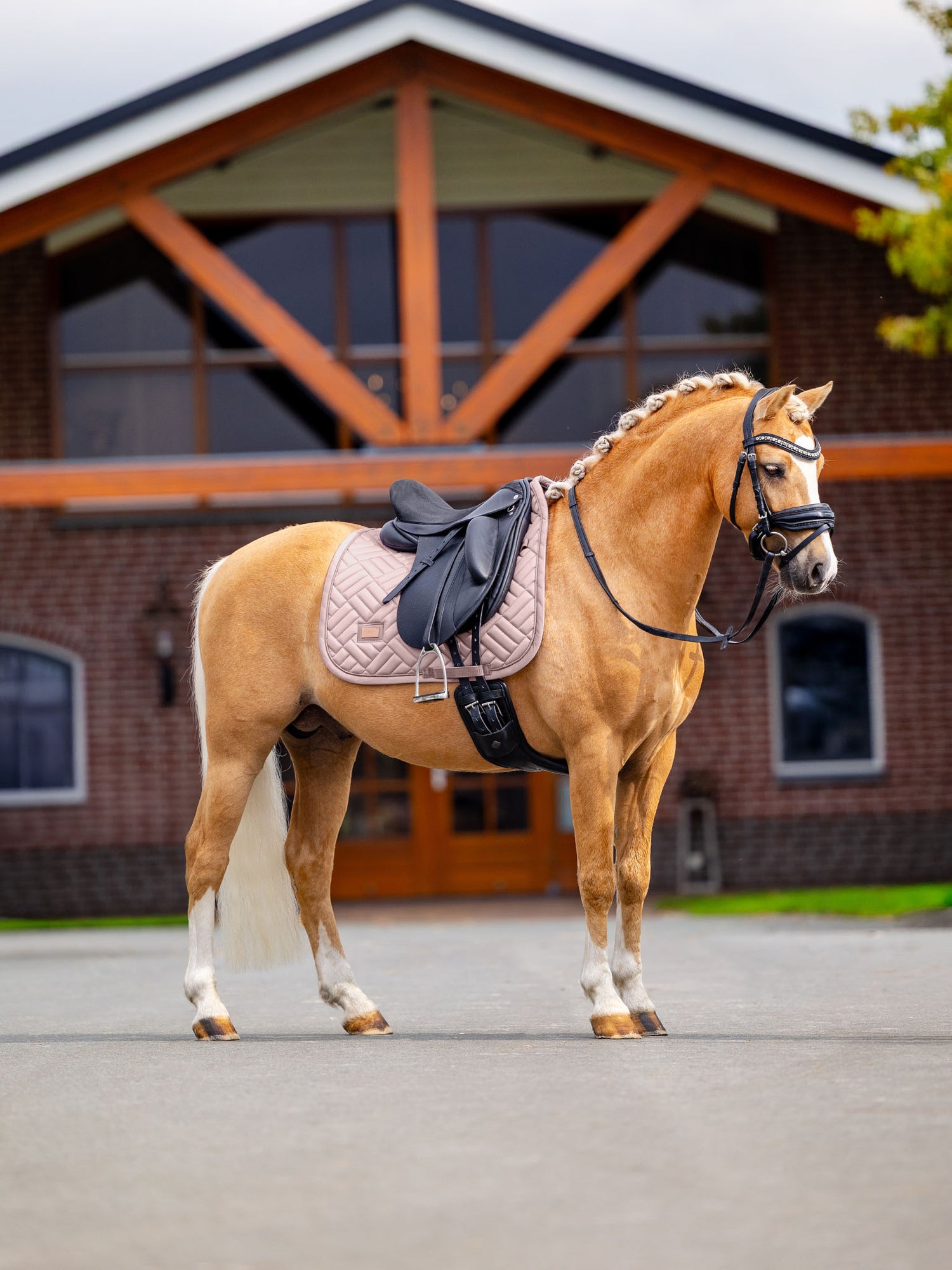Sottosella da dressage Equestrian Stockholm Modern Midsummer Blush su cavallo palomino con treccine, finimenti neri, scuderia