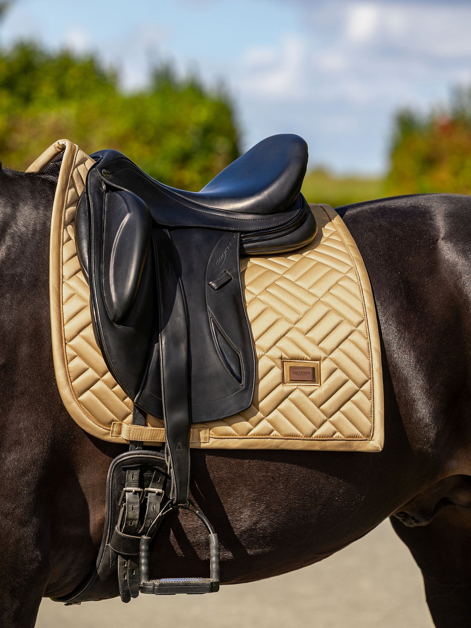 Dressage Saddle Pad Modern Midsummer Glow