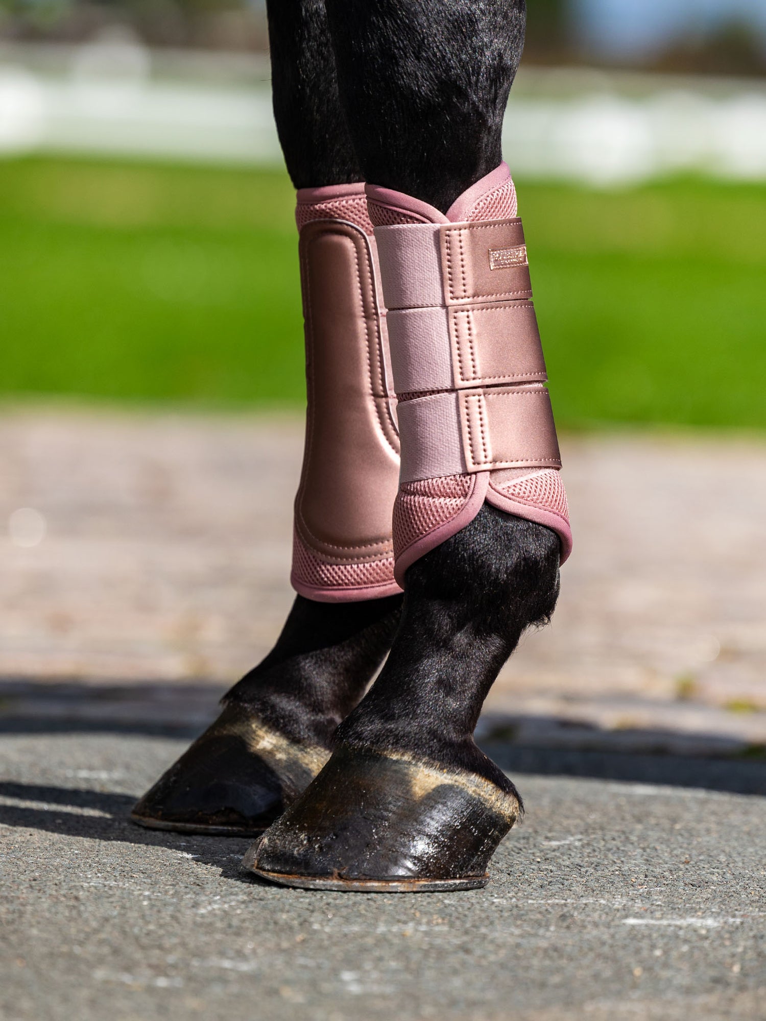 Mesh Brushing Boots Midsummer Blush