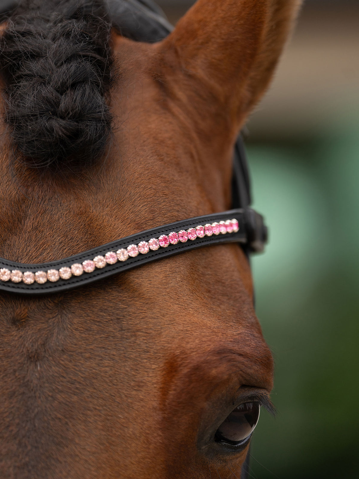 Browband Faded Pink 6mm