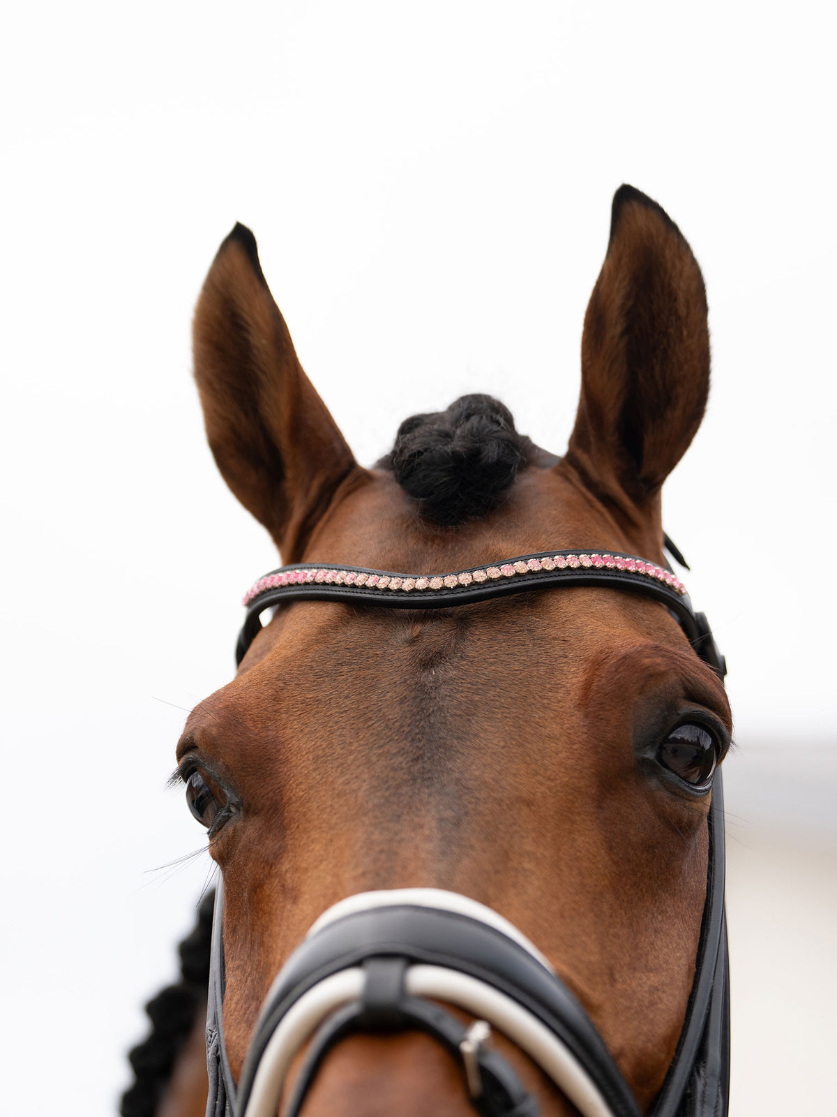 Browband Faded Pink 6mm