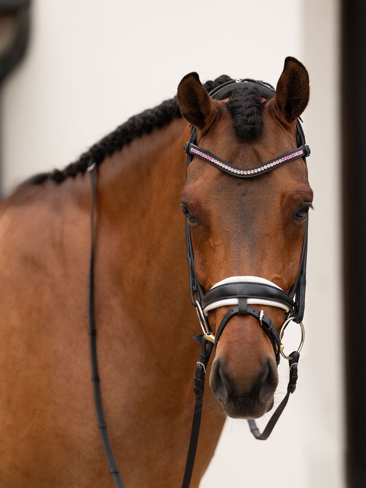 Browband Faded Pink 6mm