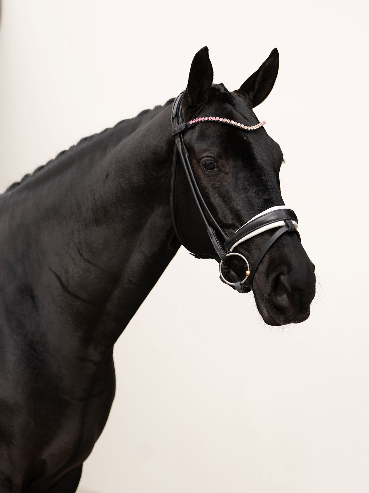 Browband Faded Pink 8mm