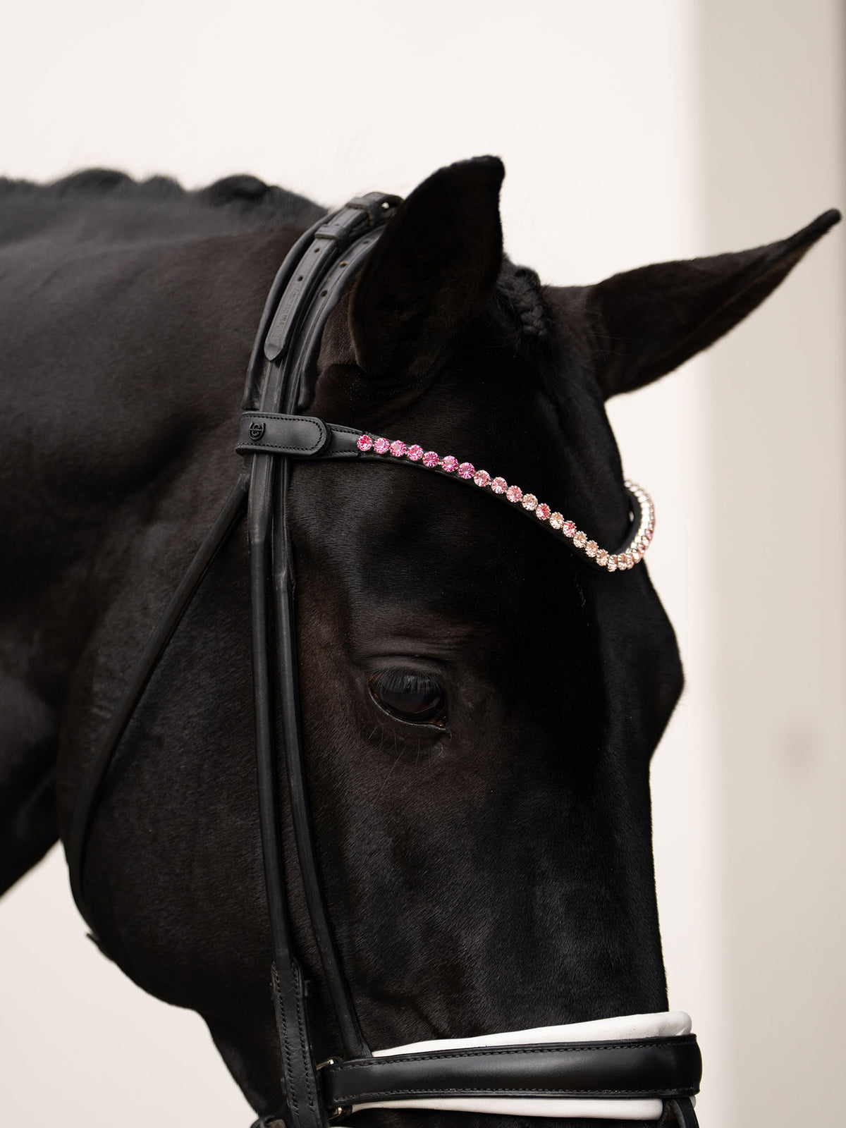 Browband Faded Pink 8mm
