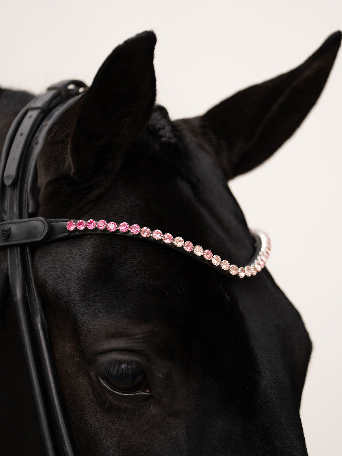 Browband Faded Pink 8mm