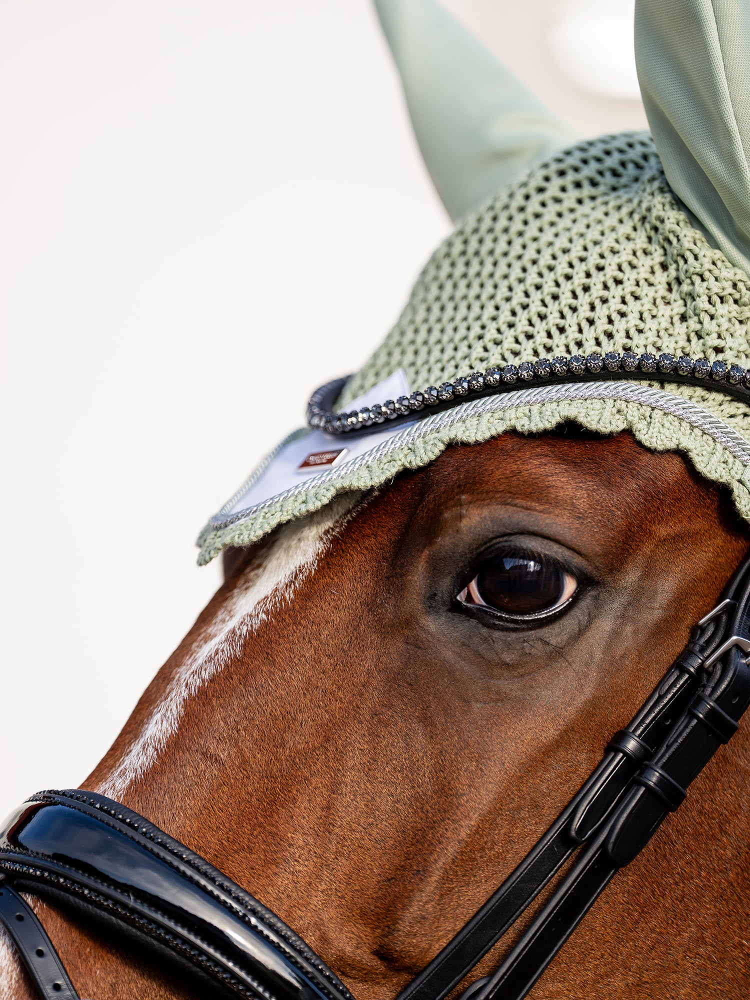 Ear Bonnet Pistachio White