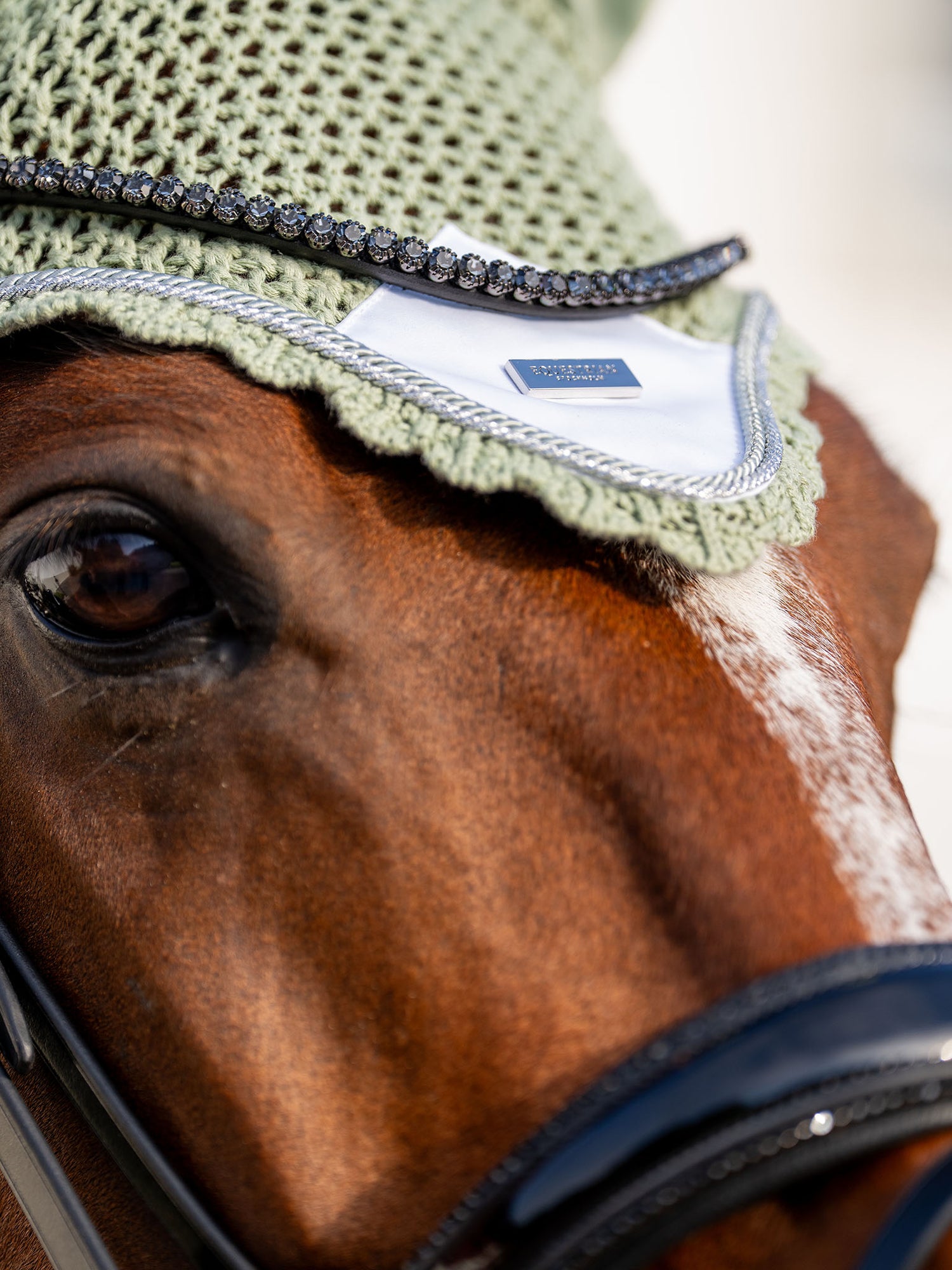 Ear Bonnet Pistachio White