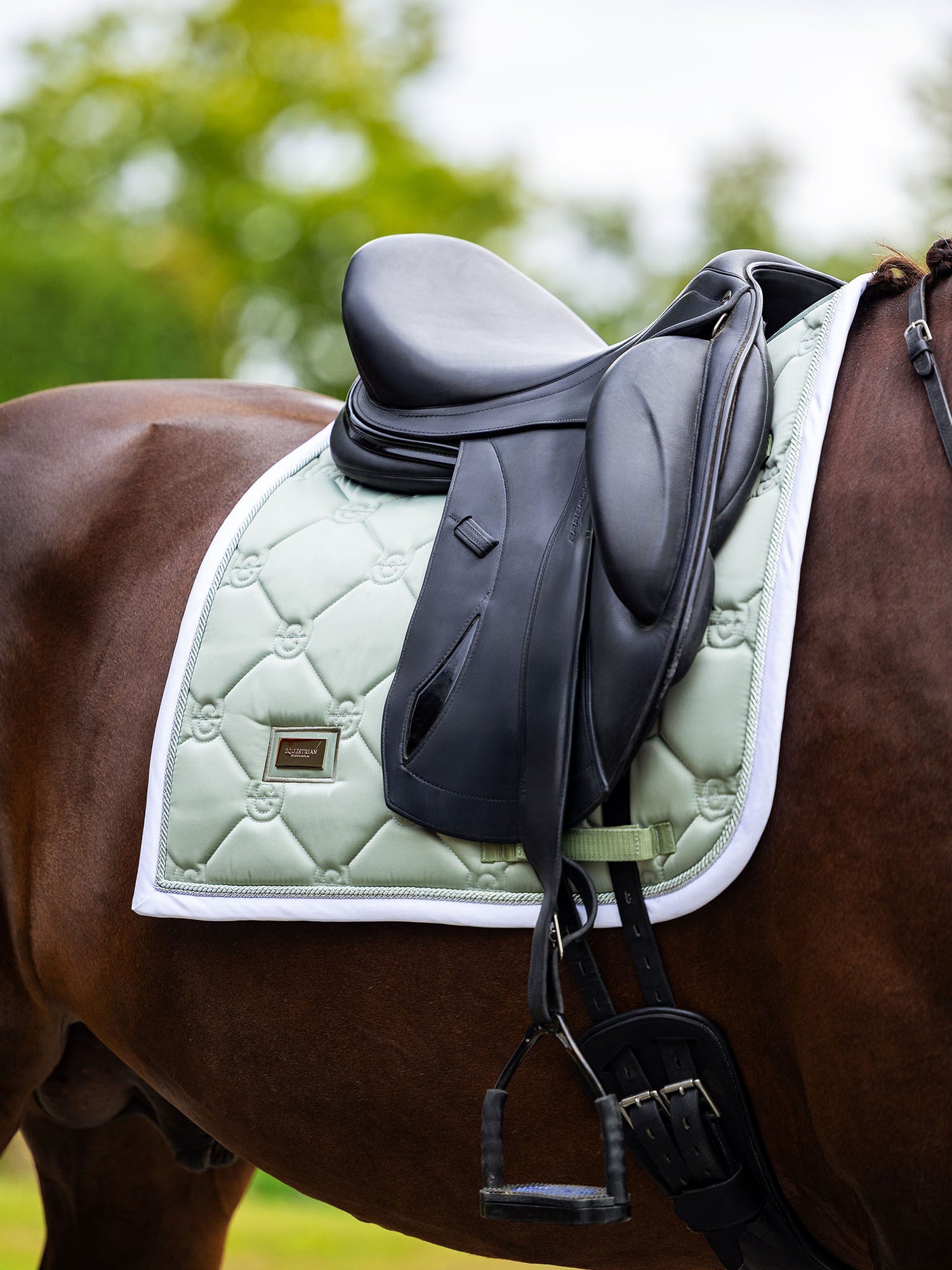 Dressage Saddle Pad Pistachio White