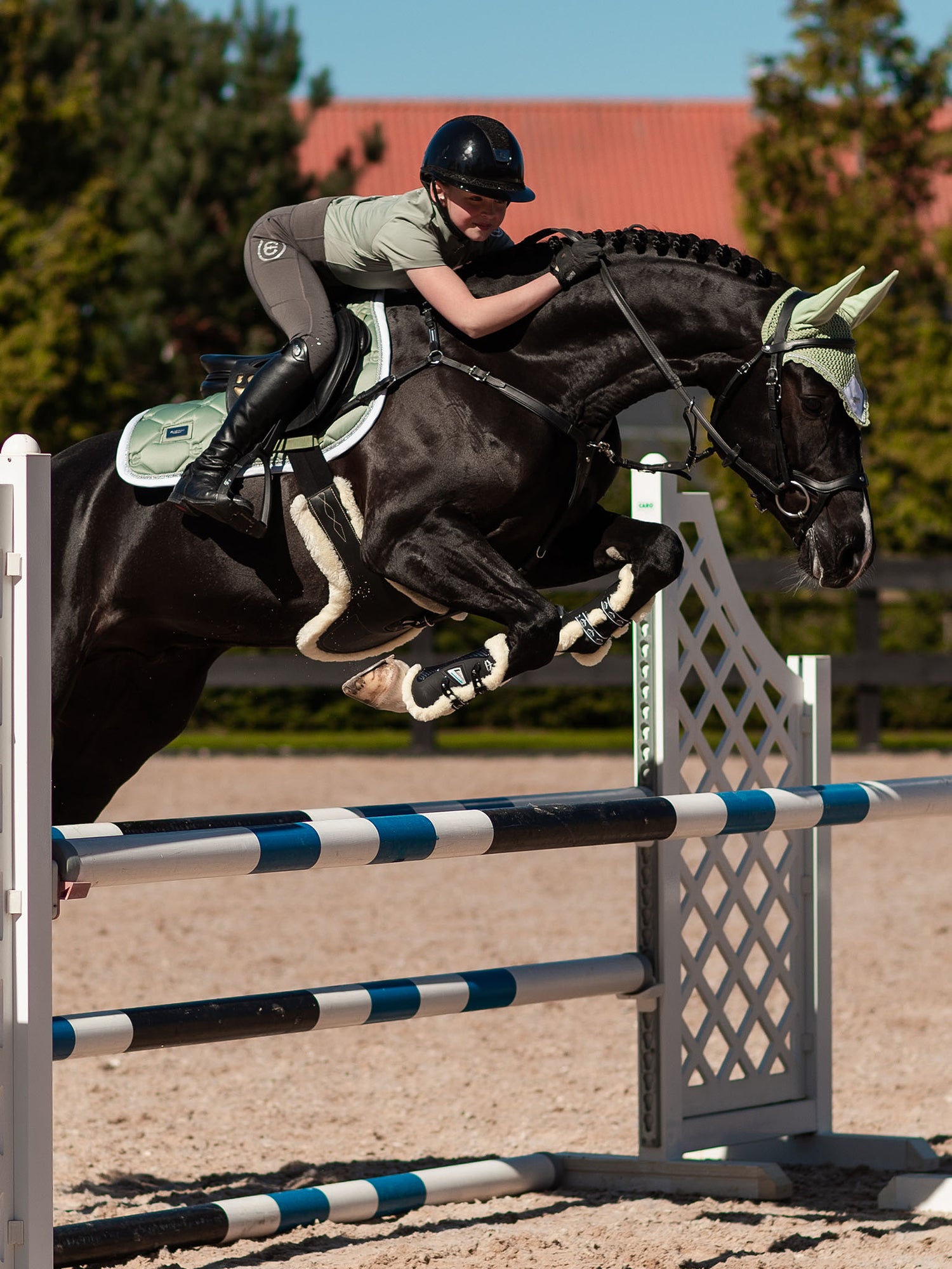 Ear Bonnet Pistachio White