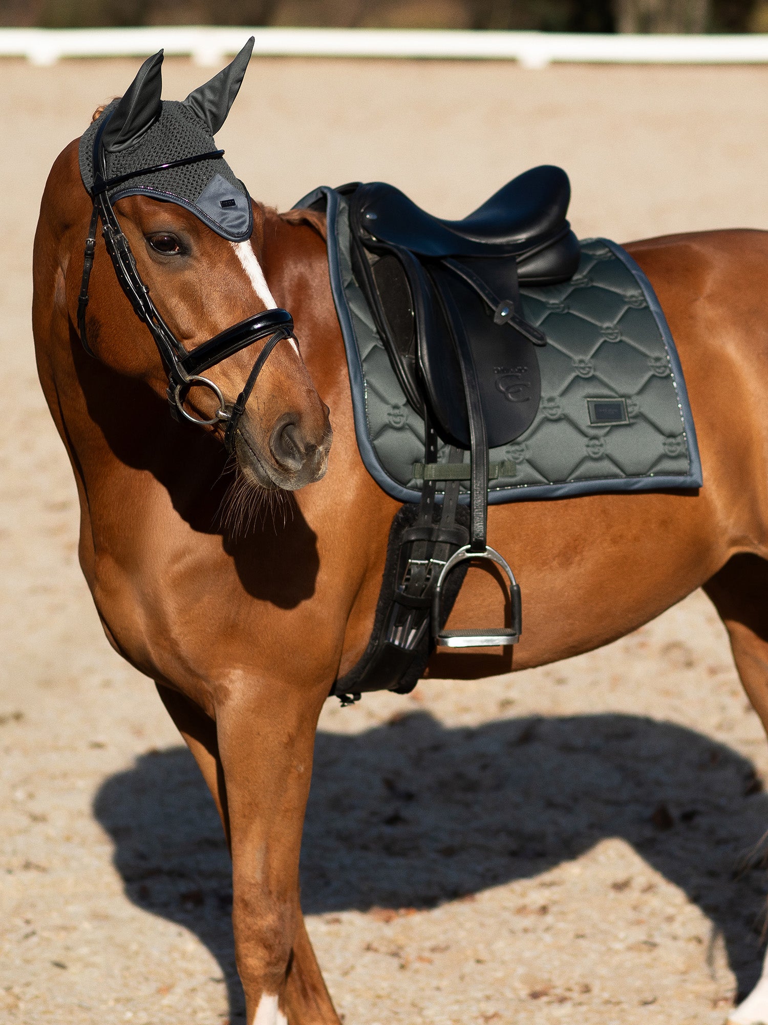 Tapis de dressage Avenue Green