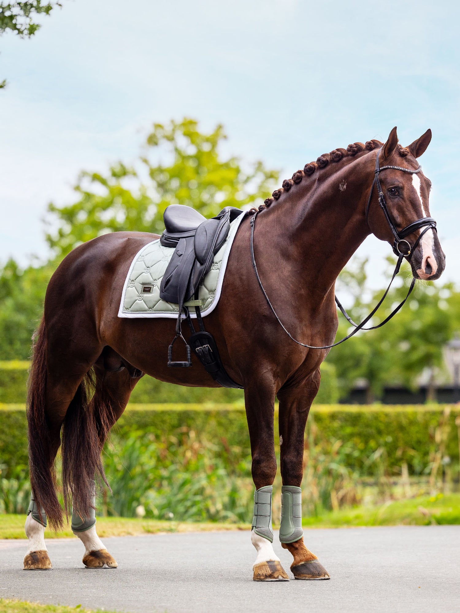 Dressage Saddle Pad Pistachio White