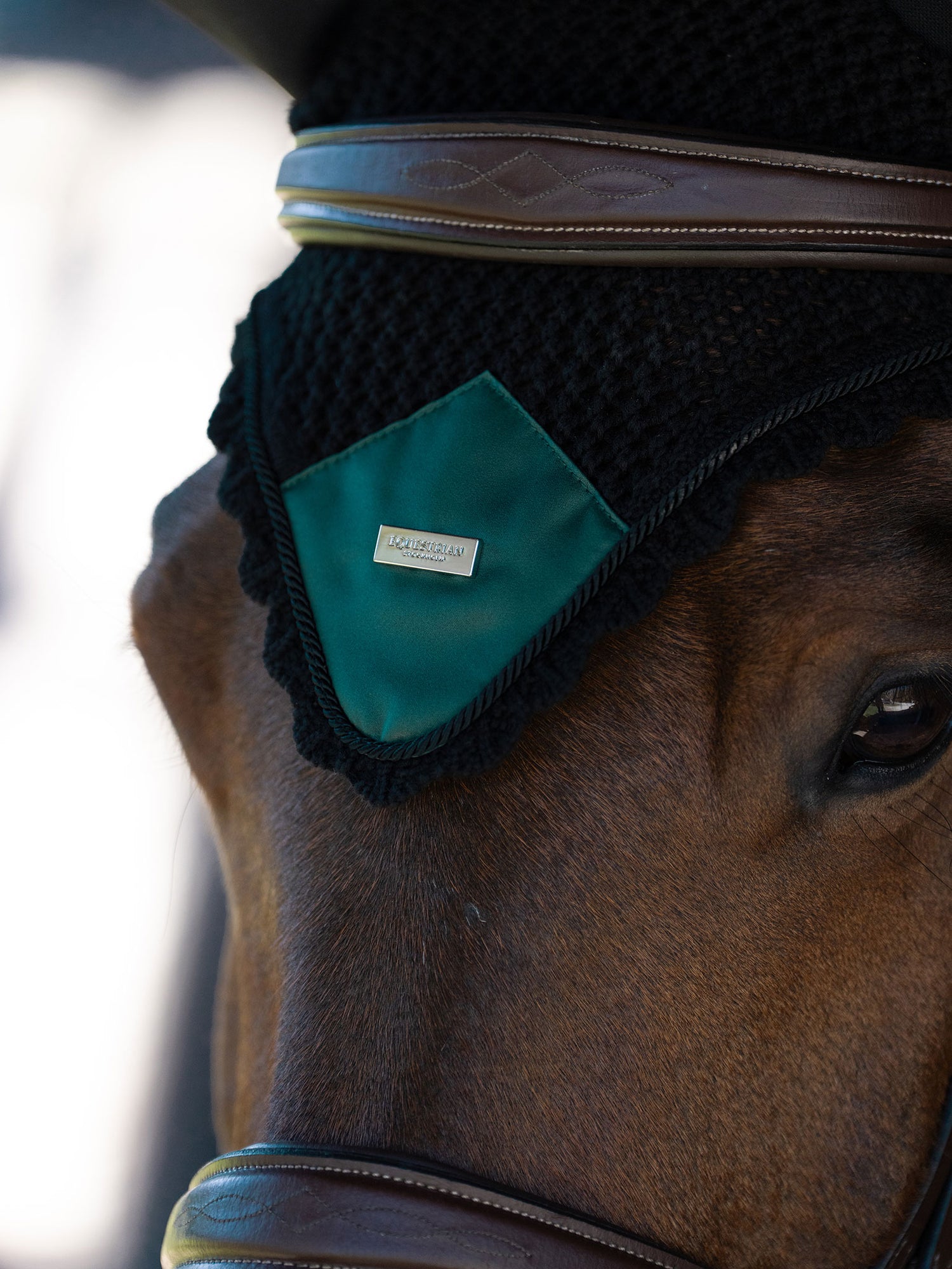 Bonnet Equestrian Stockholm Sycamore Green noir avec insigne argenté, porté par un cheval avec un bridon en cuir.