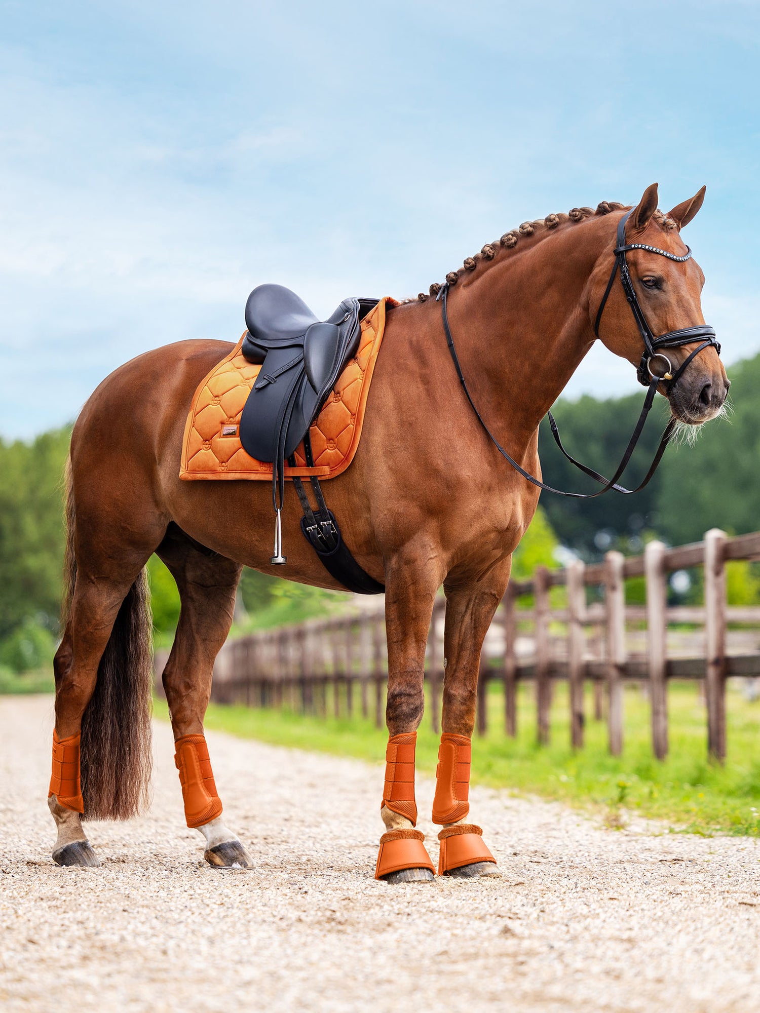 Guêtres Fermées mesh Chestnut