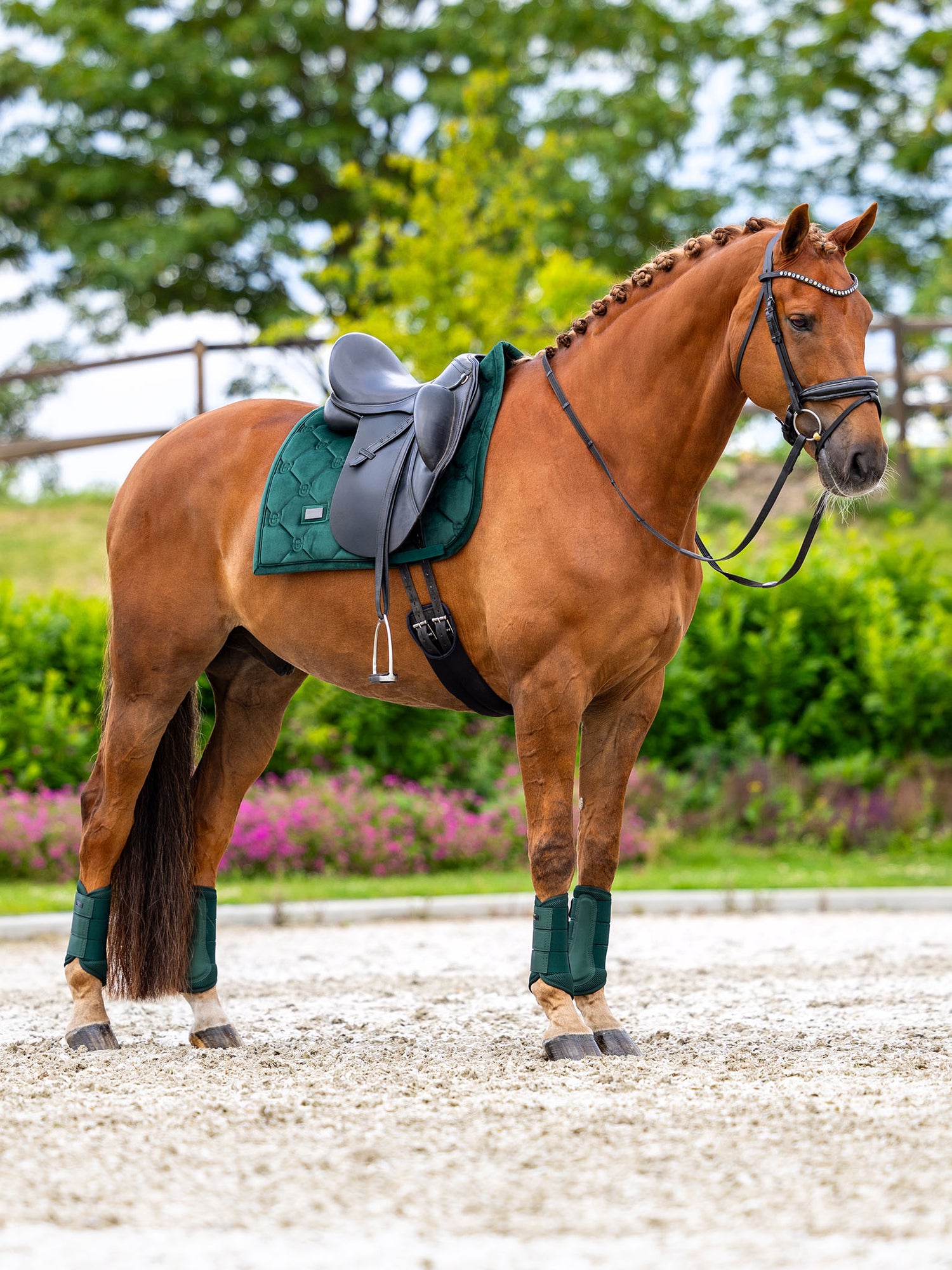 Mesh Brushing Boots Sycamore Green