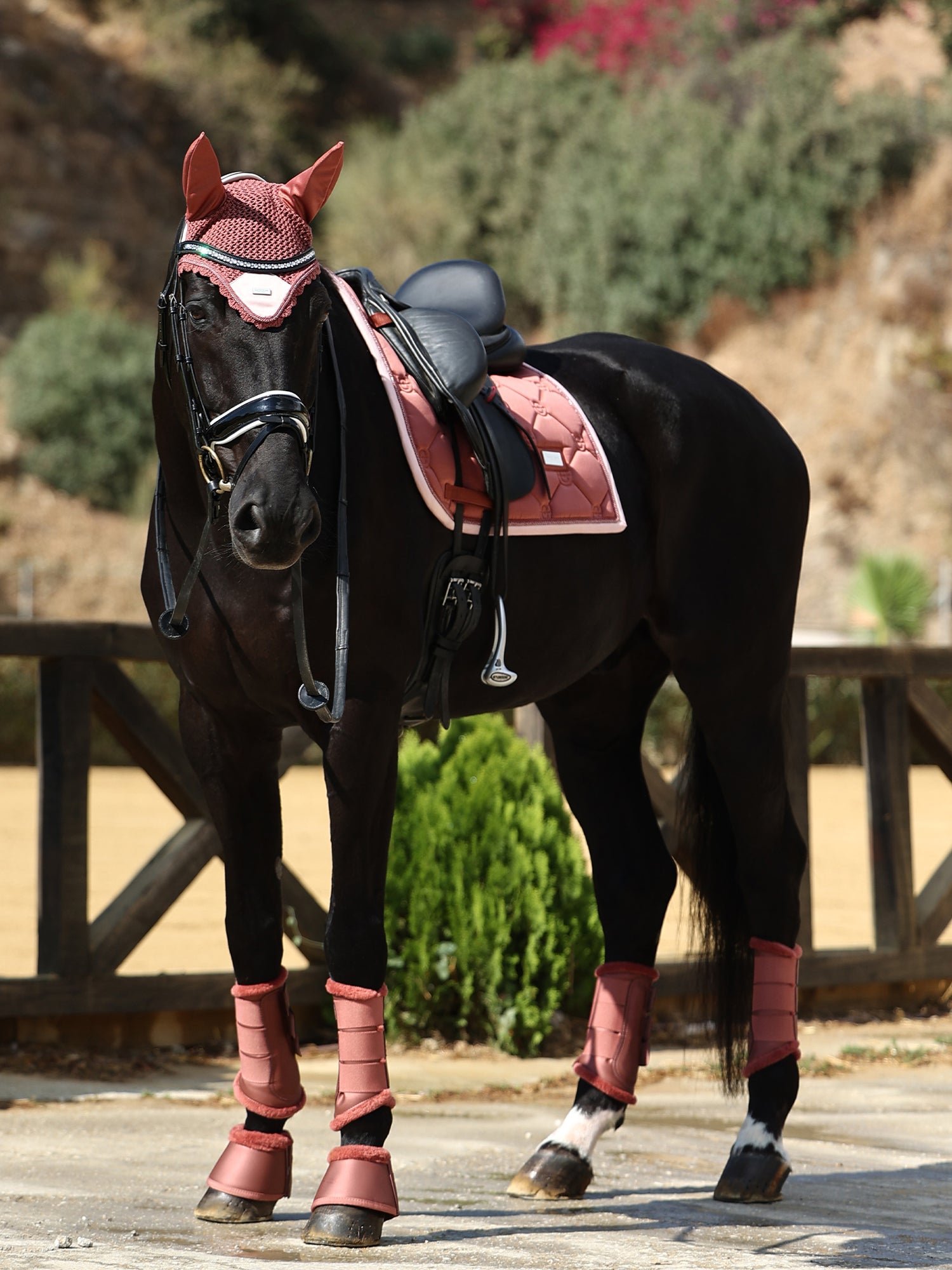 Cloches de protection Amber Rose