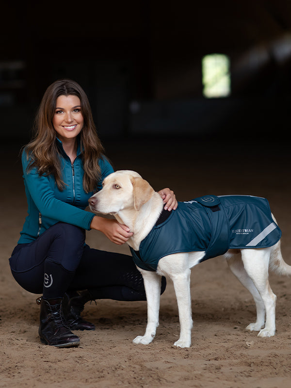 Weather Pro Dog Rug Aurora Blues