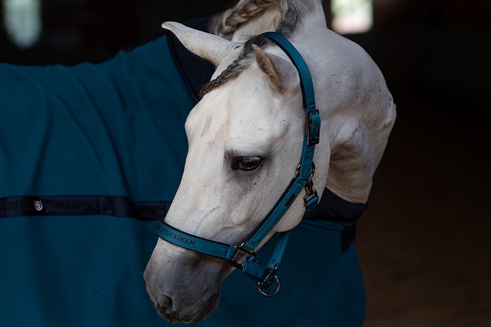 Halter & Lead Rope Aurora Blues