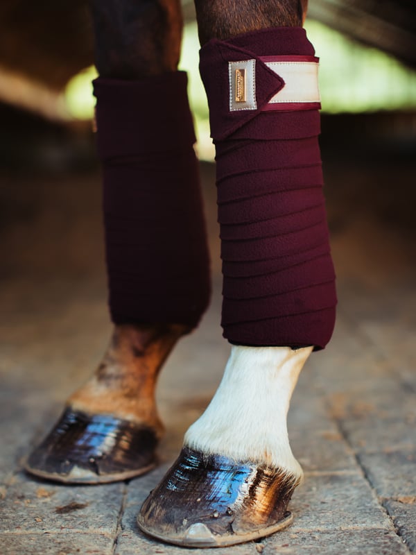 Fleece Bandages Crystal Merlot Gold