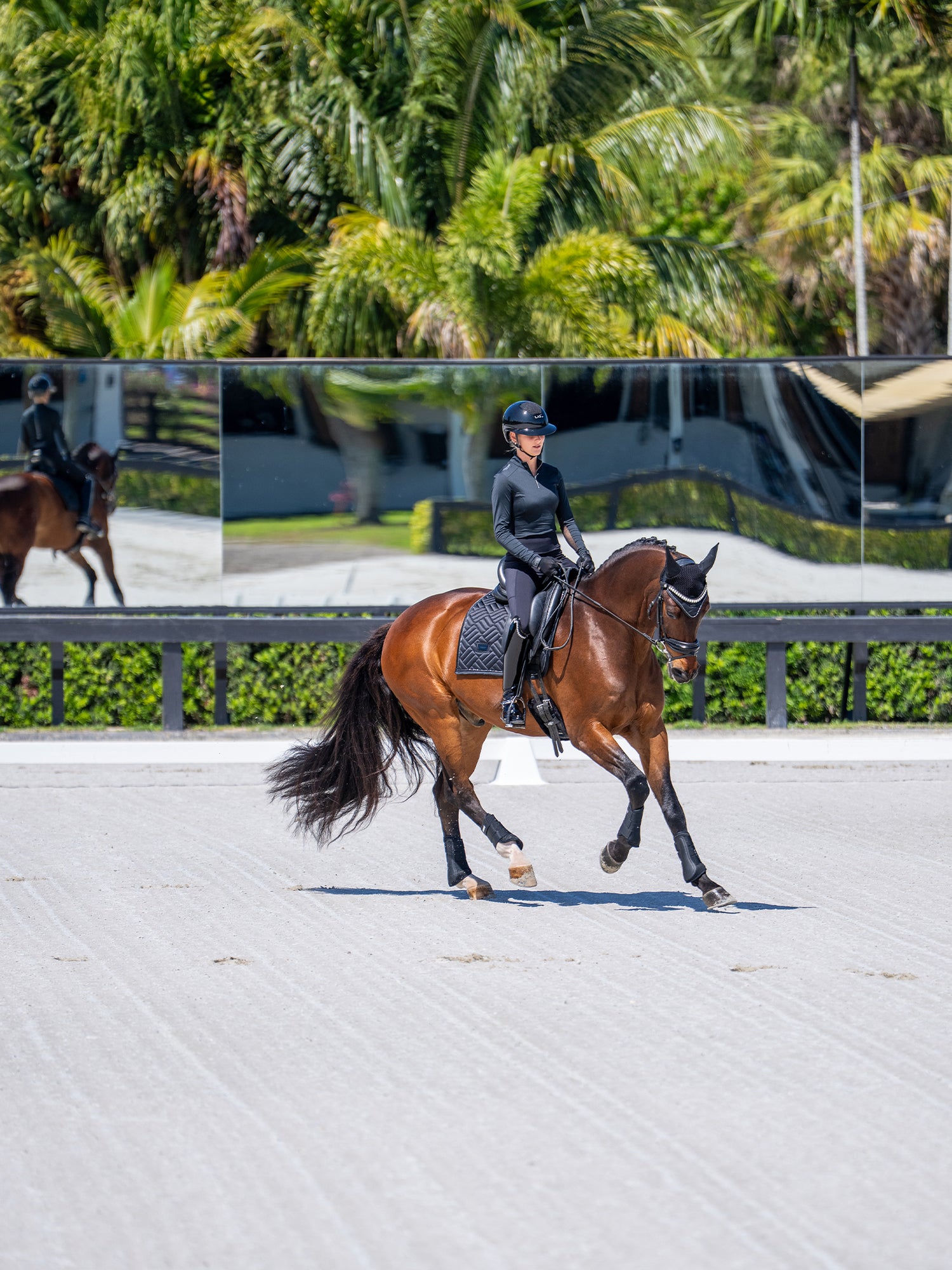 Dressurschabracke Modern Black