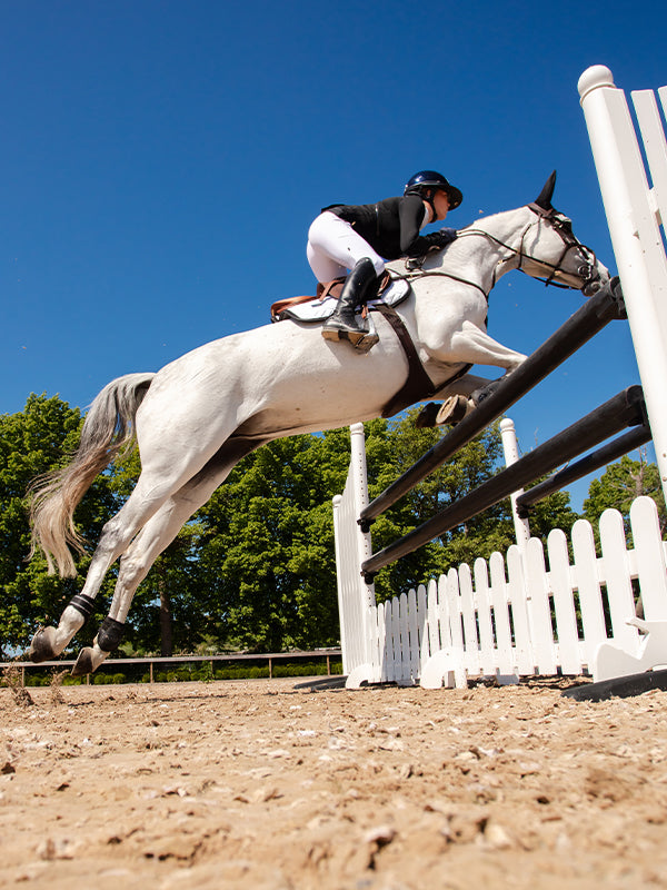 Anatomiska Bakskydd Black Edition