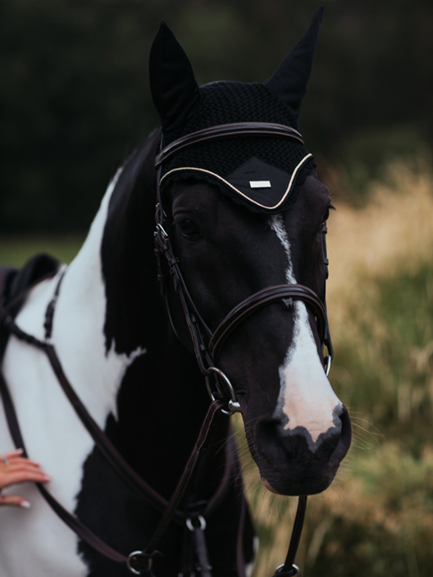 Fliegenhaube Black Gold