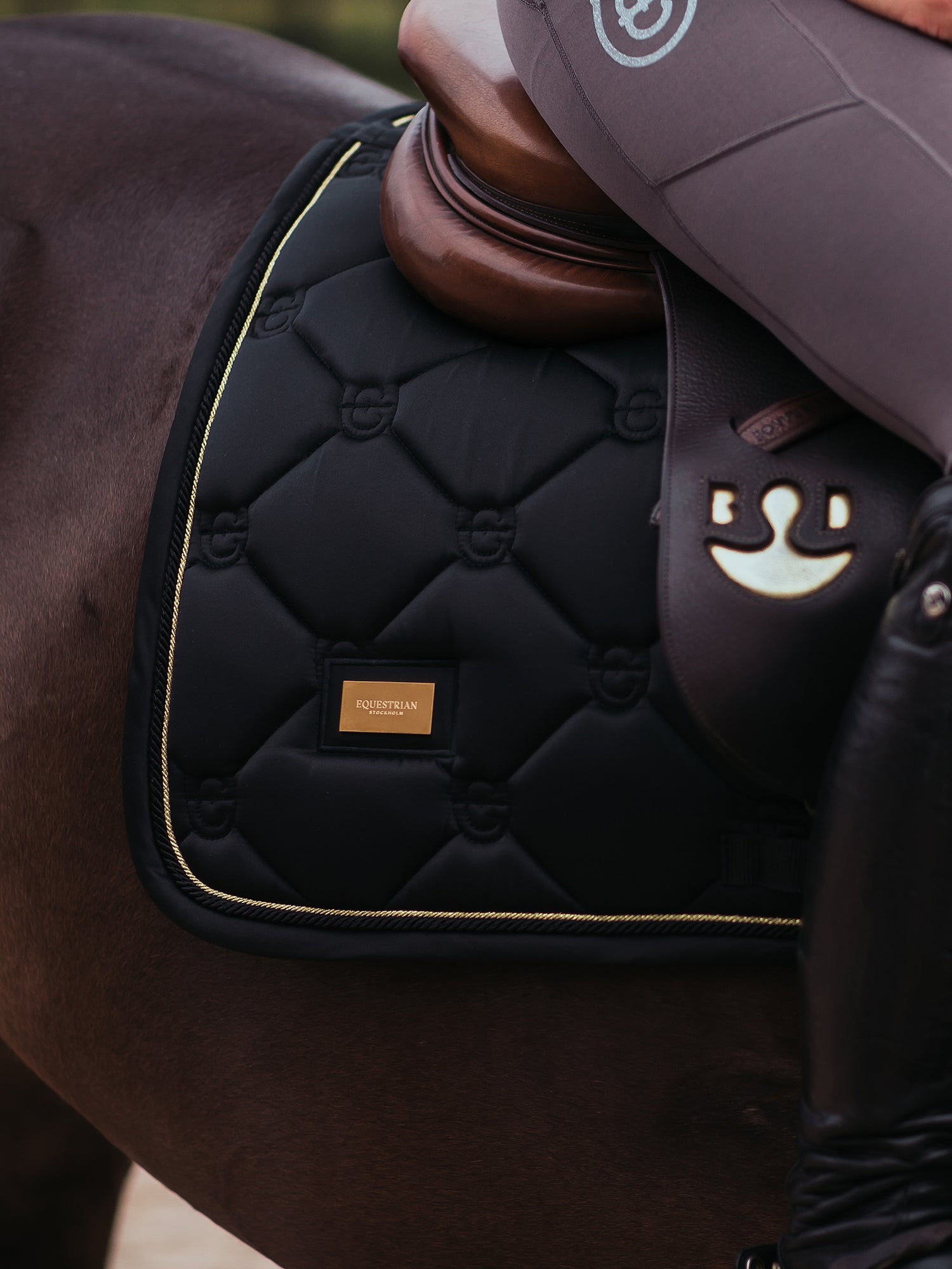 Hoppschabrak Black Gold