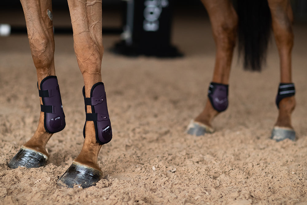 Anatomic Fetlock Boots Black Raven