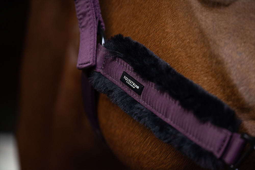 Fell Halfter & Strick Black Raven