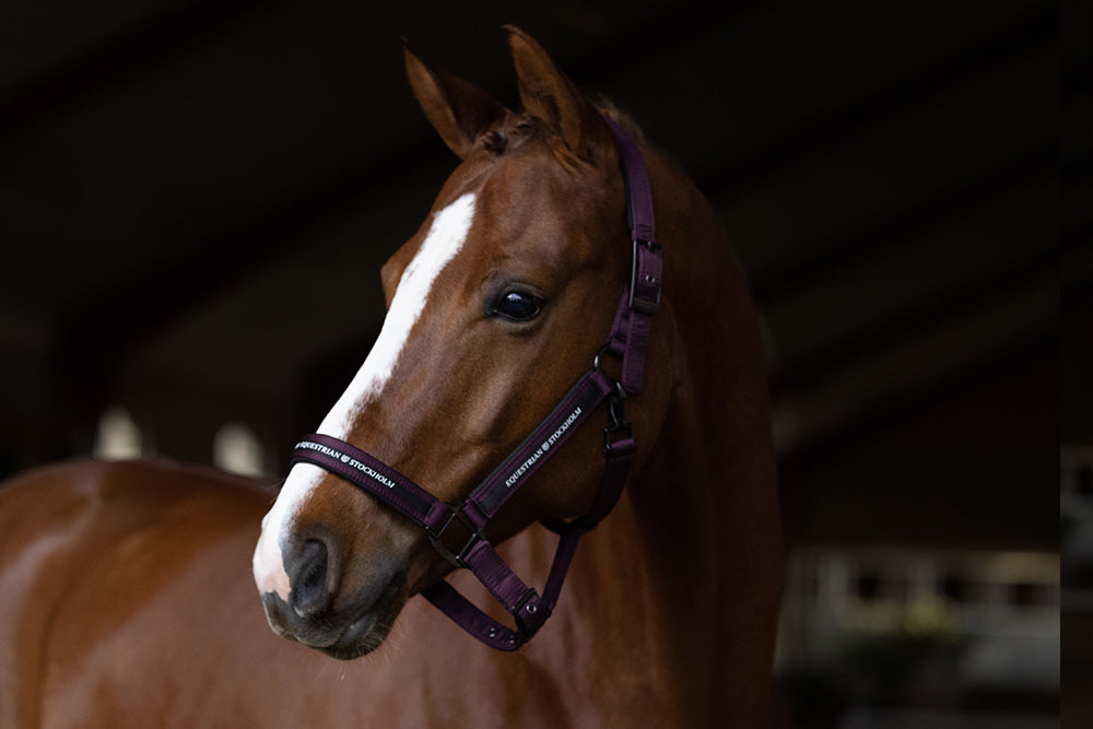 Clean Halter Black Raven