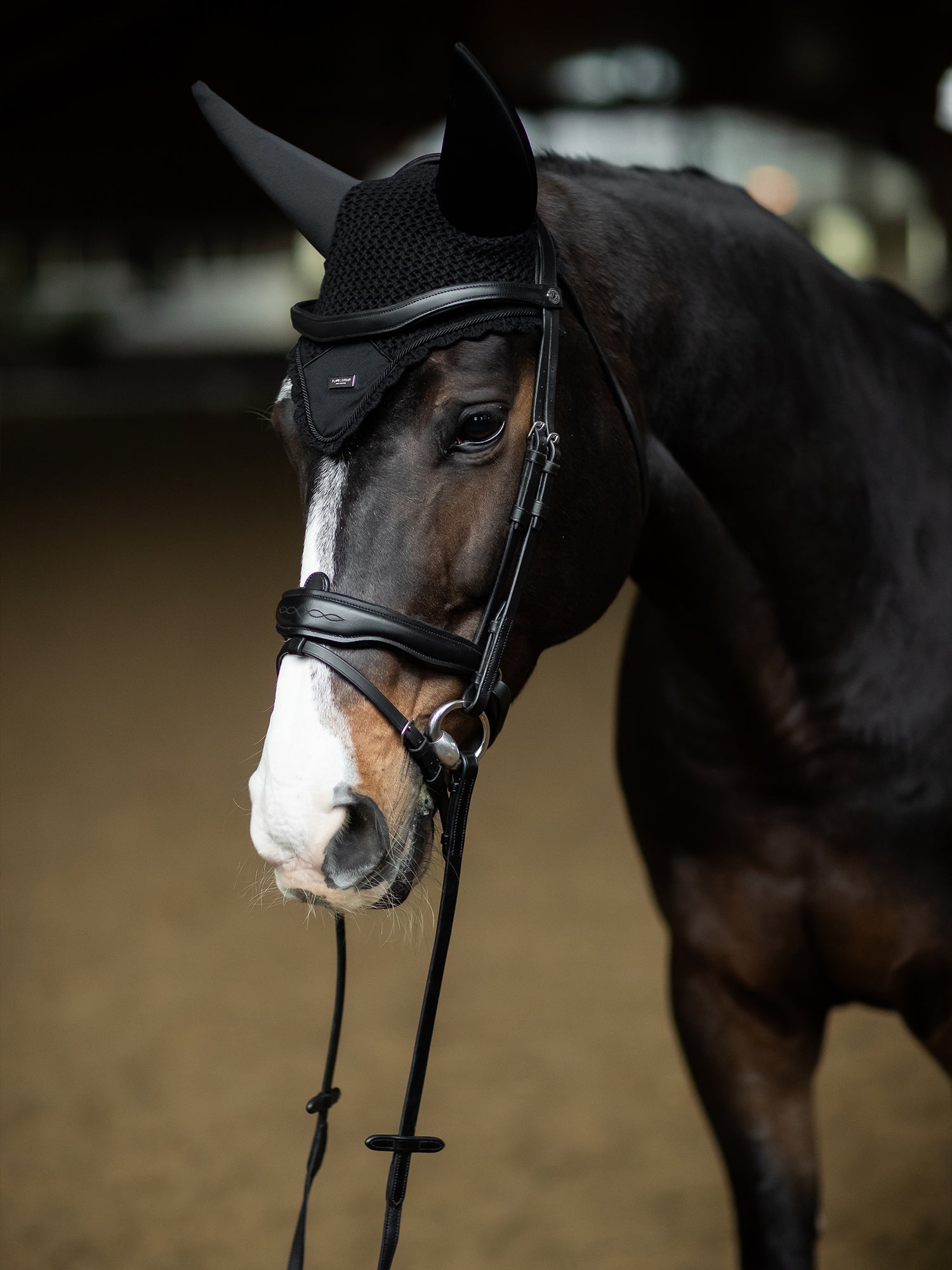 Soundless Ear Bonnet Black Silver