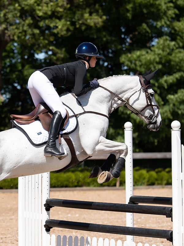 Anatomic Tendon Boots Black Edition