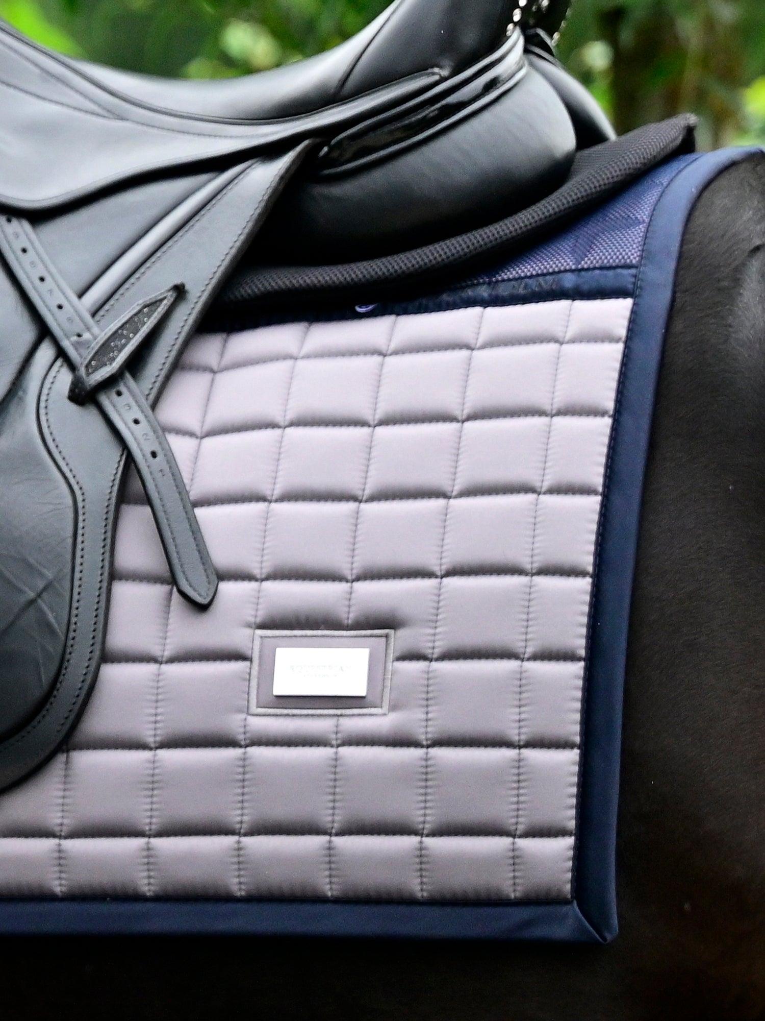 Dressyrschabrak Performance Blue Ash