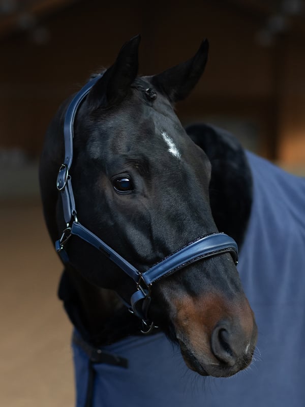 Glimmer Anatomic Leather Halter Dark Venice