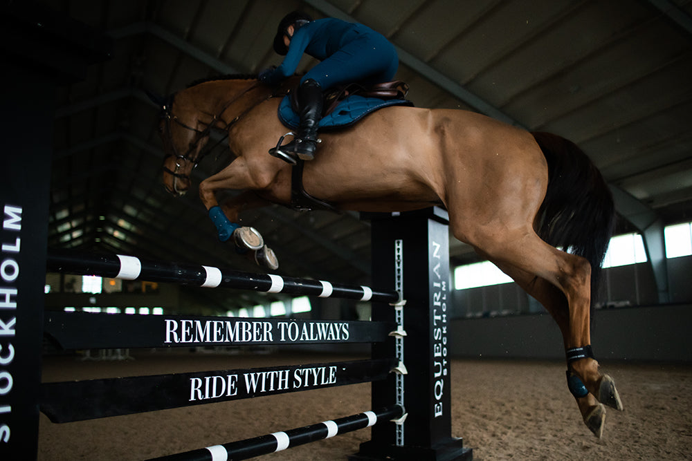 blue-meadow-fetlock-boots-bakskydd-heckschutz-kogelbeschermers-on1