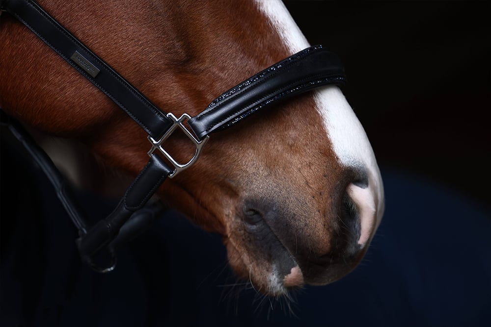 Glimmer Anatomic Leather Halter Blue Meadow