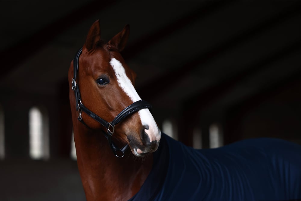 Glimmer Anatomic Leather Halter Blue Meadow