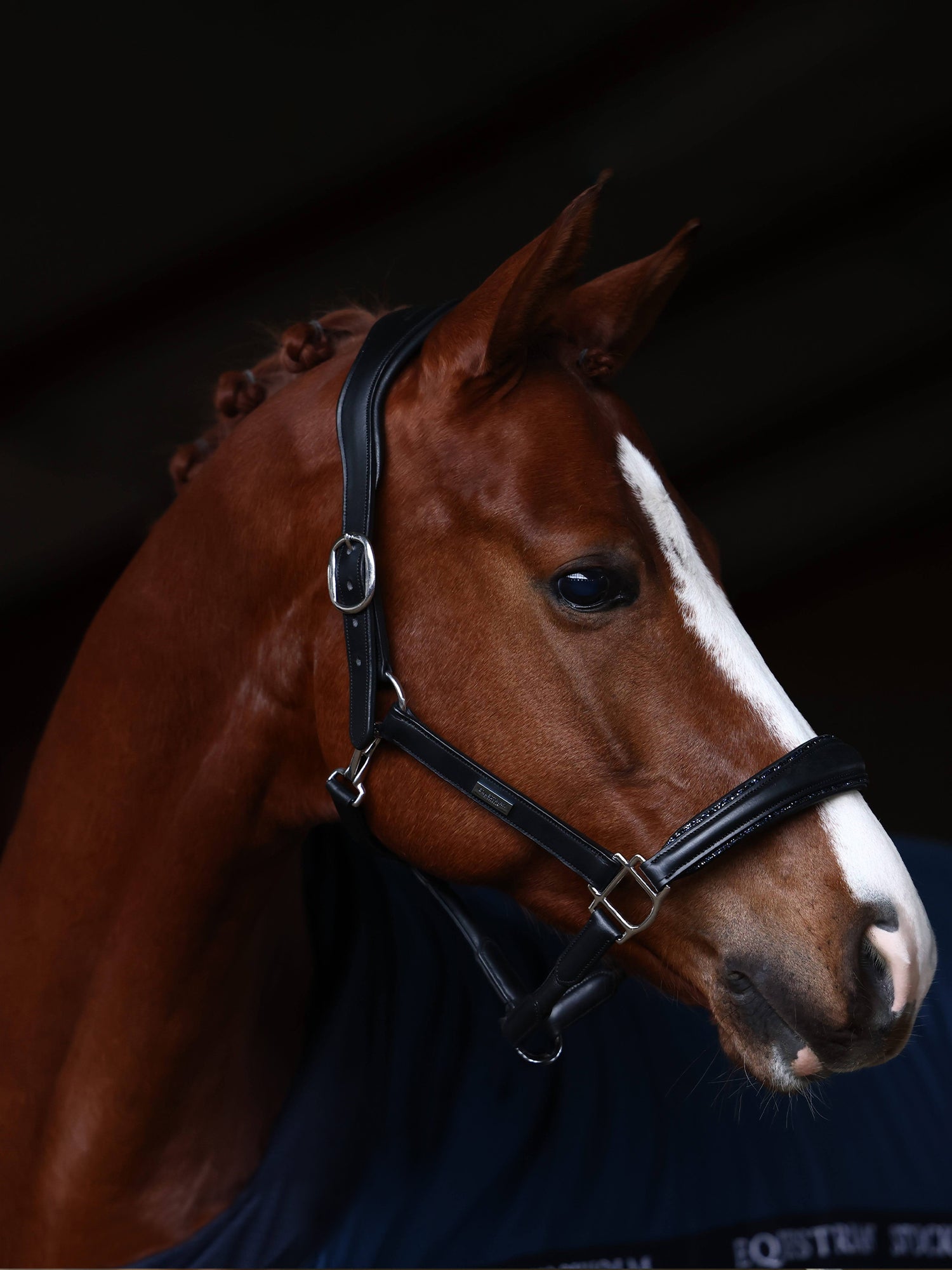 Glimmer Anatomic Leather Halter Blue Meadow