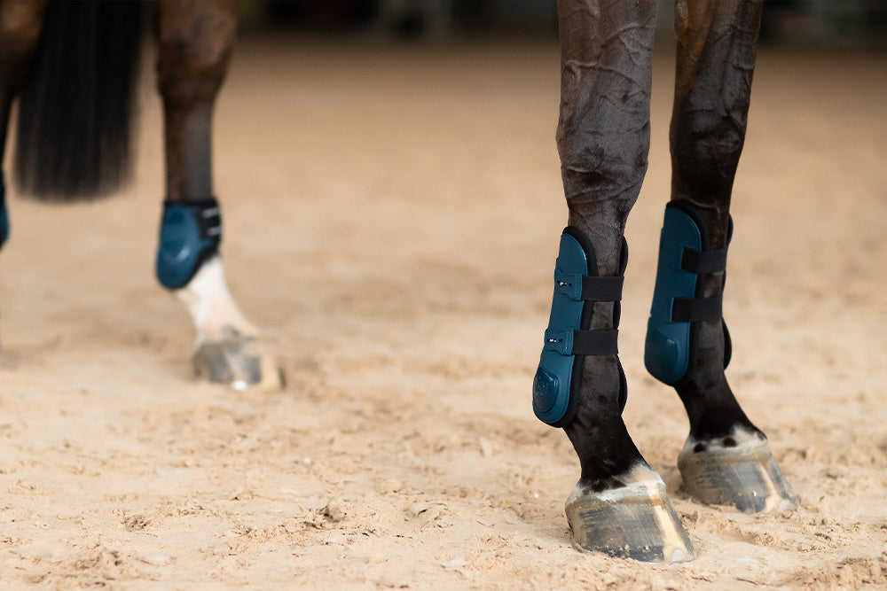 blue-meadow-tendon-boots-framskydd-peesbeschermers-frontschutz-on2