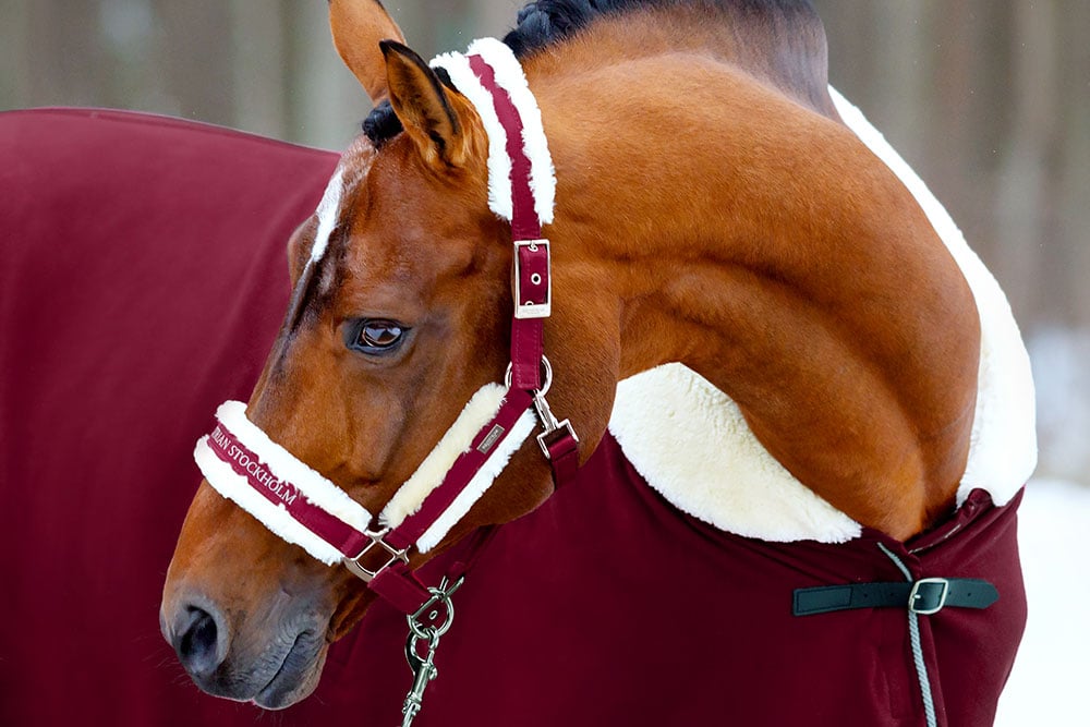 Fur Halter & Lead Rope Bordeaux