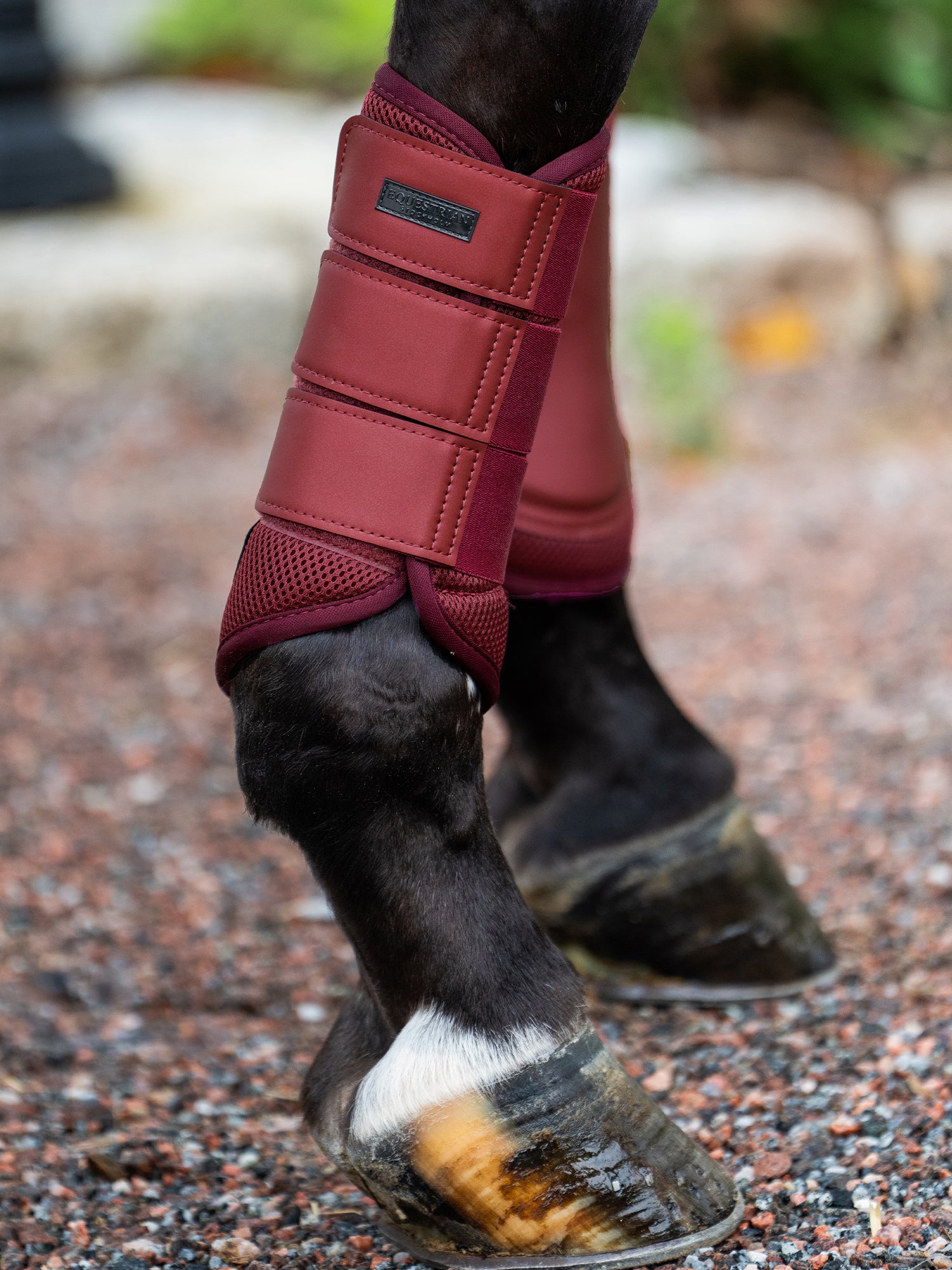Mesh Brushing Boots Bordeaux