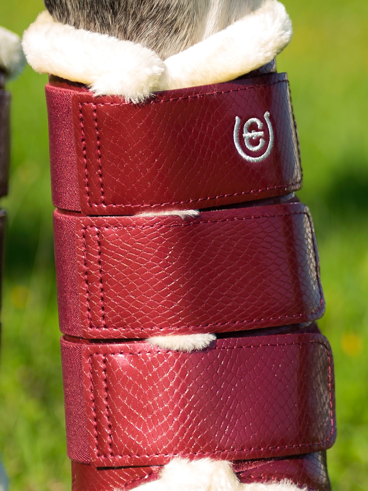 Brushing Boots Bordeaux