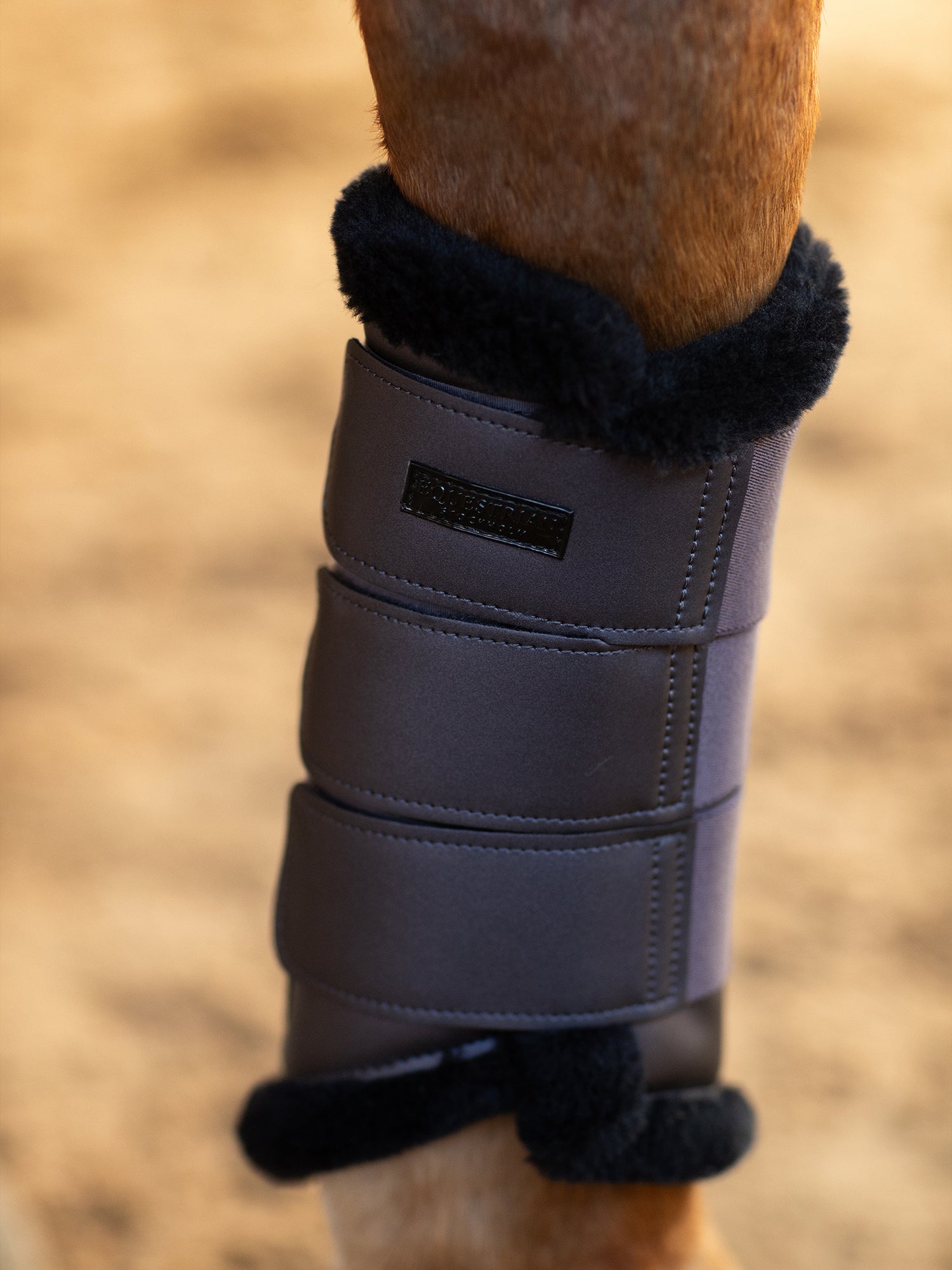 Bottes de brossage Dark Violet