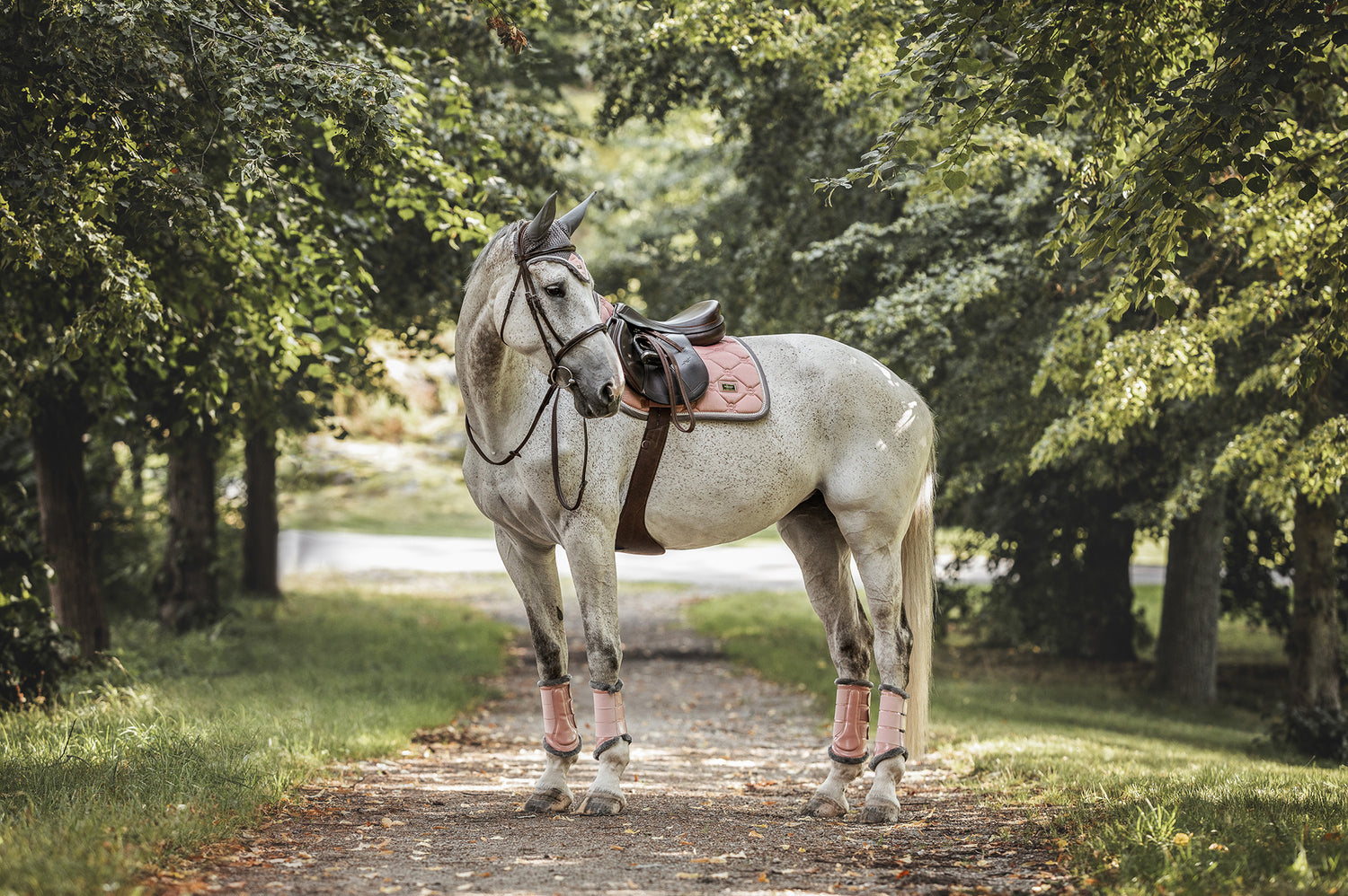 Beenbeschermers Pink