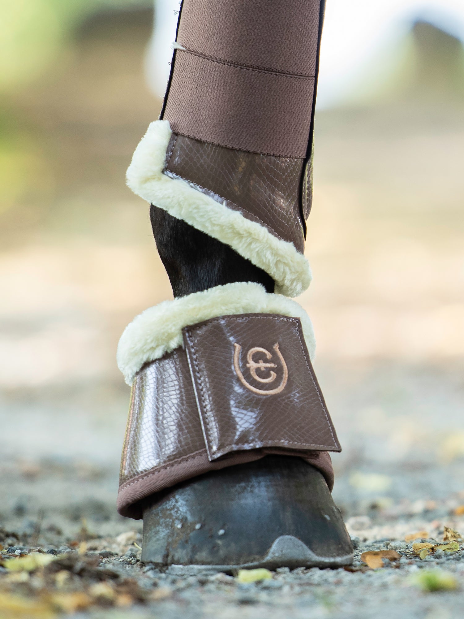 Springschoenen Champagne