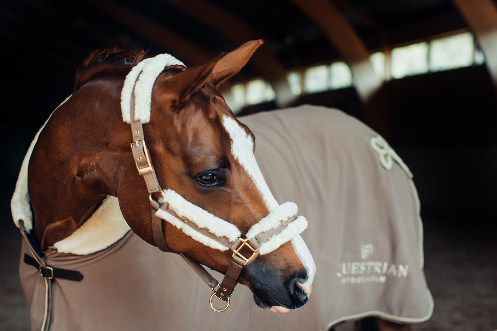 Fur Halter & Lead Rope Champagne